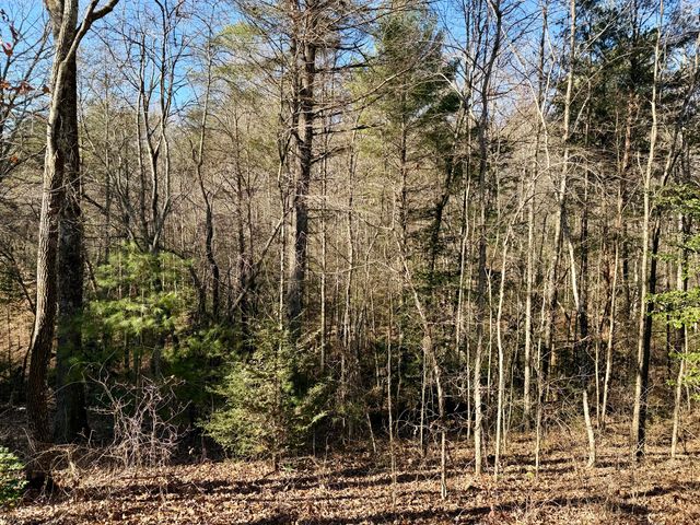 969 Mountain Vista Road, Farner, TN 37333