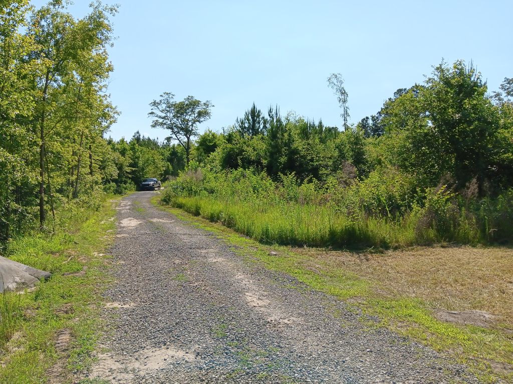 00 Primus Drive, Saint George, SC 29477