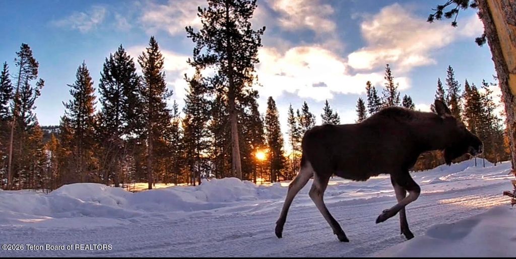 0000 US HIGHWAY 26, Dubois, WY 82513 photo 7