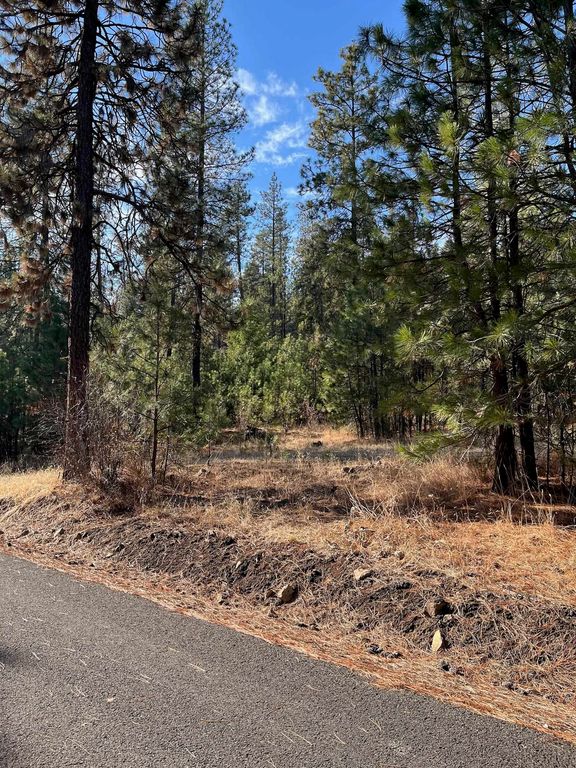 Lot 2 Wapiti Bob White Ln, Davenport, WA 99122