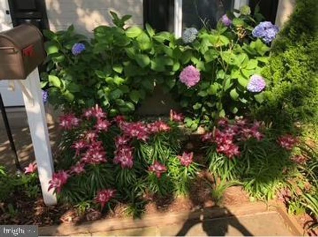 9736 GRANT AVE, Manassas, VA 20110