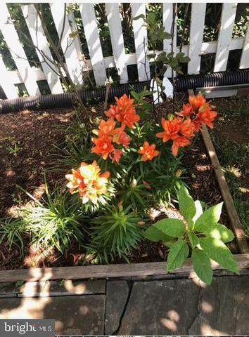 9736 GRANT AVE, Manassas, VA 20110