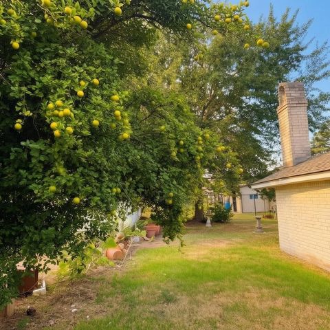 5118 Cicada Lane, Houston, TX 77039