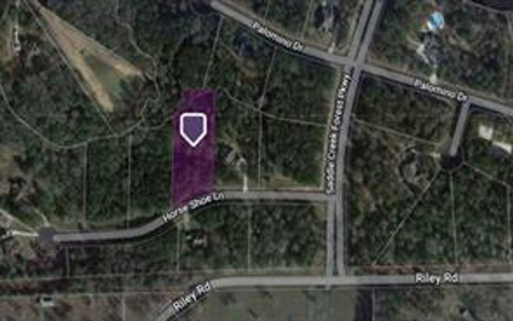 28200 Horse Shoe Lane, Waller, TX 77484