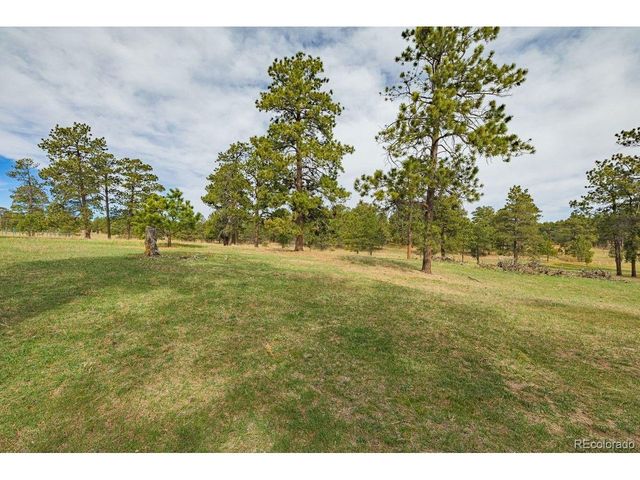 13354 N Meridian Rd, Elbert, CO 80106