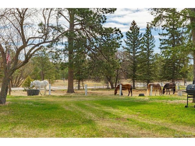 13354 N Meridian Rd, Elbert, CO 80106