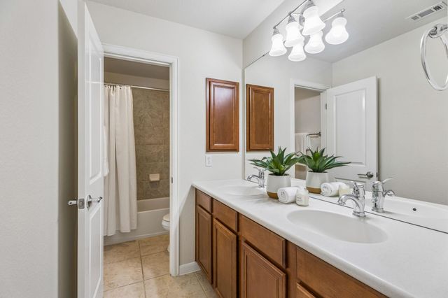 388 Desert Willow WAY, Austin, TX 78737