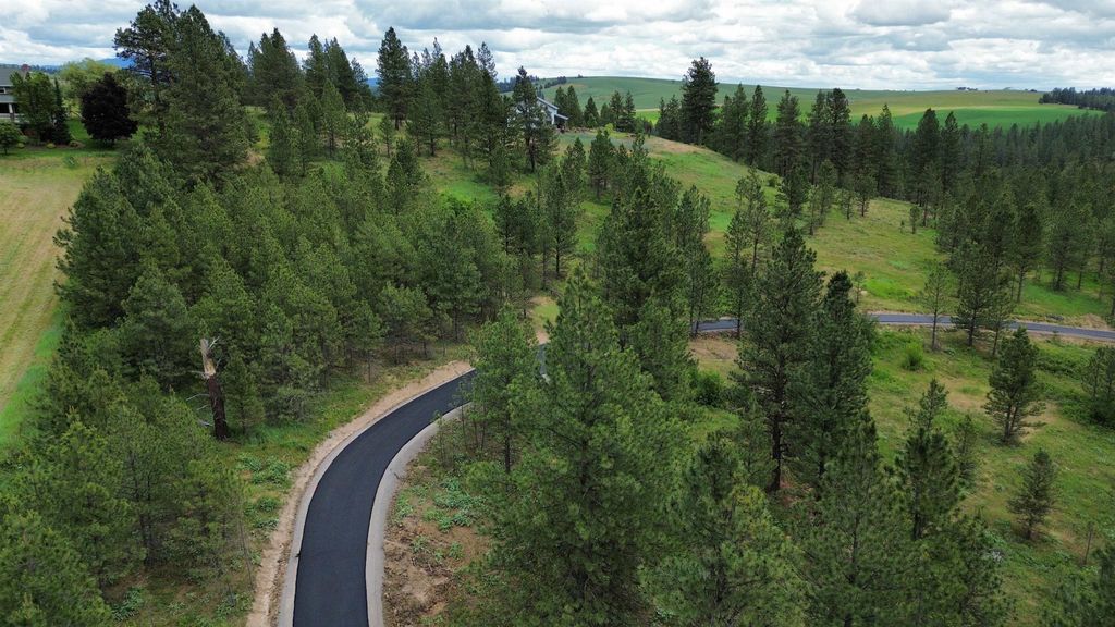 3344 Balsam Hill Ln, Valleyford, WA 99036 photo 2