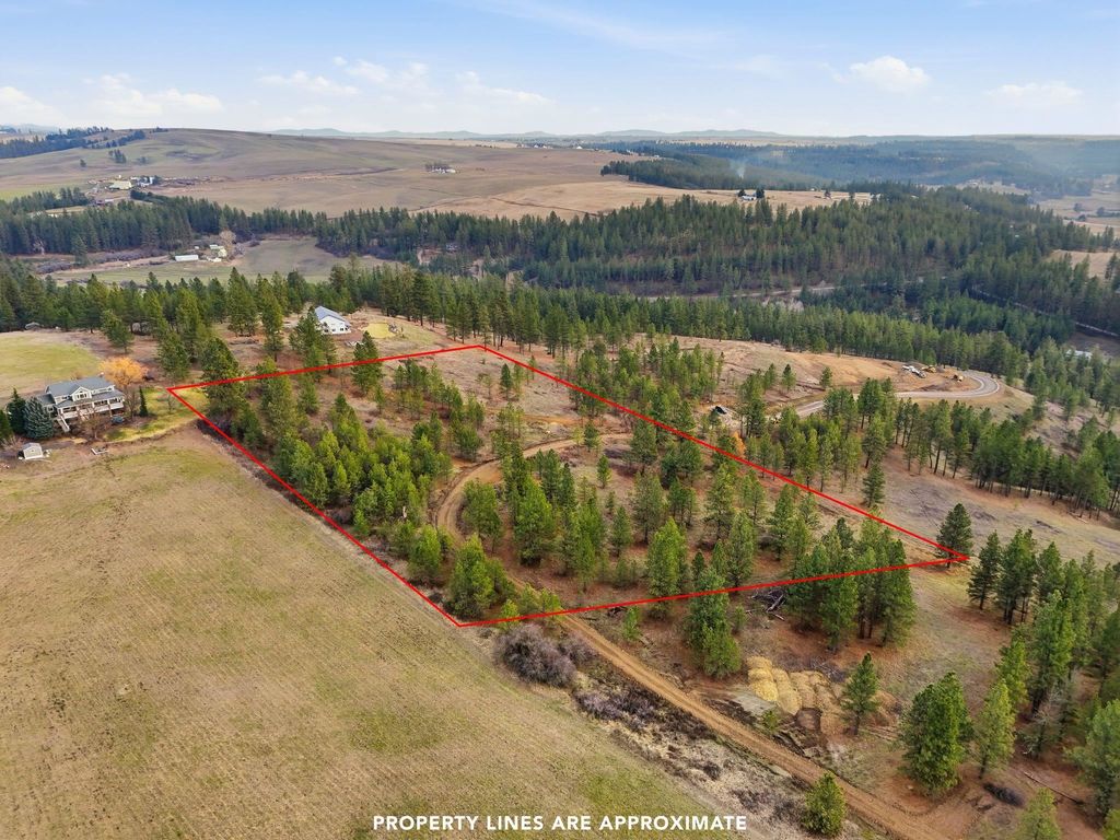 3344 Balsam Hill Ln, Valleyford, WA 99036 photo 3