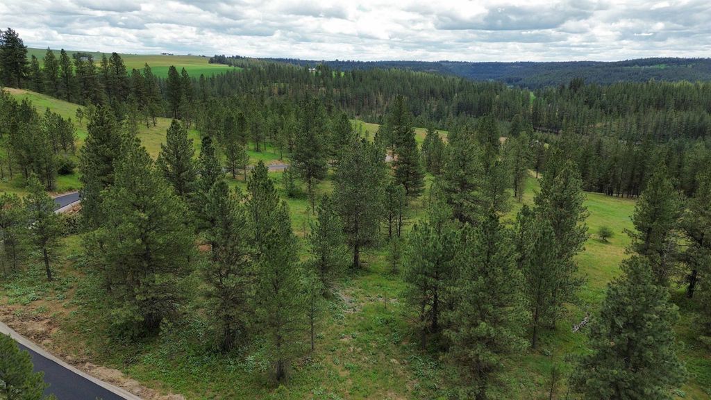 3344 Balsam Hill Ln, Valleyford, WA 99036 photo 4