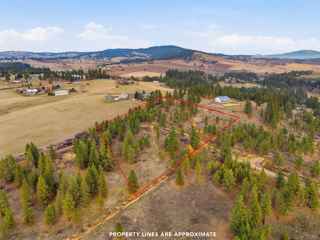 3344 Balsam Hill Ln, Valleyford, WA 99036 photo 5