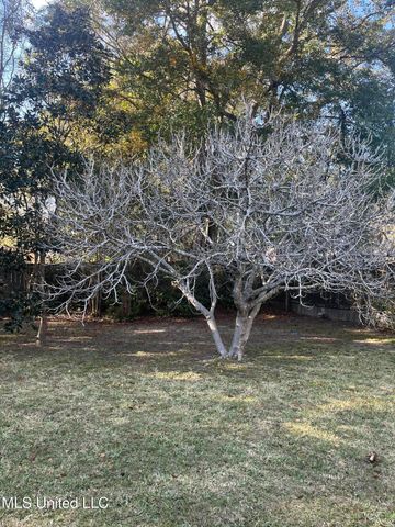 3717 Tangerine Street, Ocean Springs, MS 39564