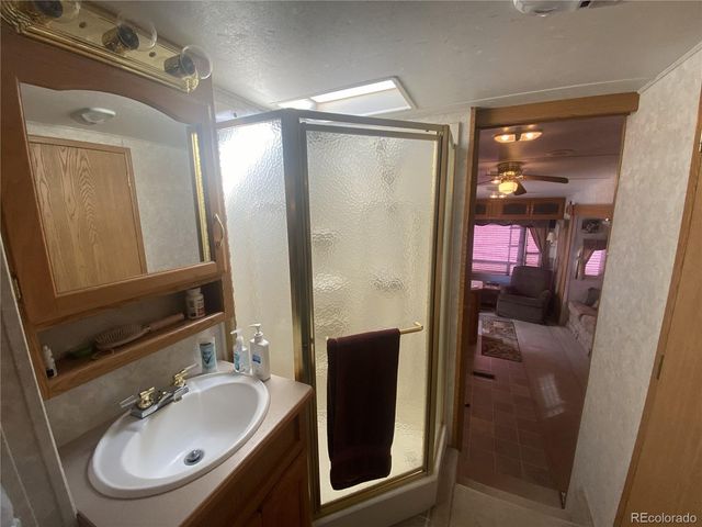 10795 County Road 197a, Nathrop, CO 81236