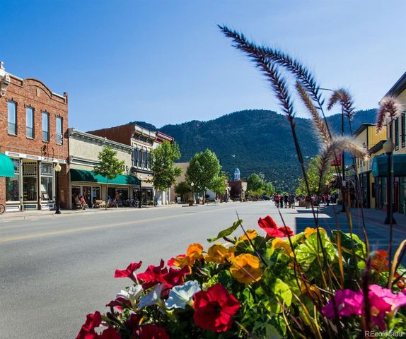 10795 County Road 197a, Nathrop, CO 81236