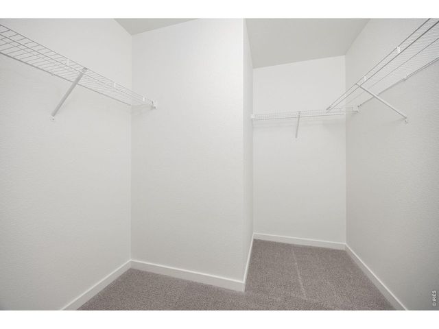 315 Condor Way, Johnstown, CO 80534