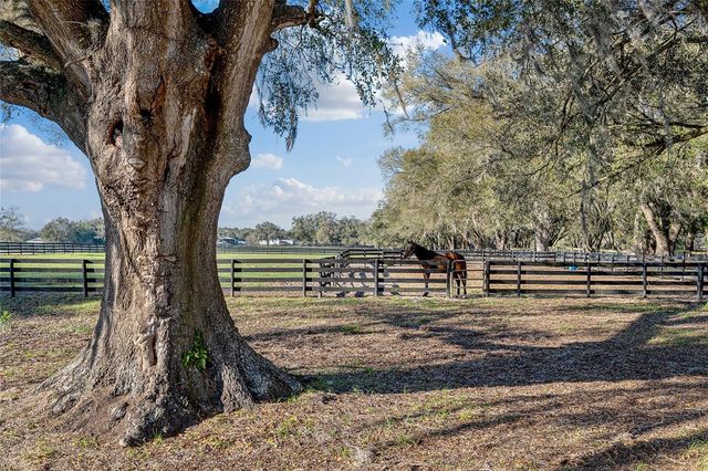 815 SE 145TH STREET, Summerfield, FL 34491