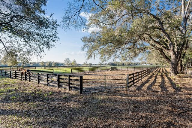 815 SE 145TH STREET, Summerfield, FL 34491