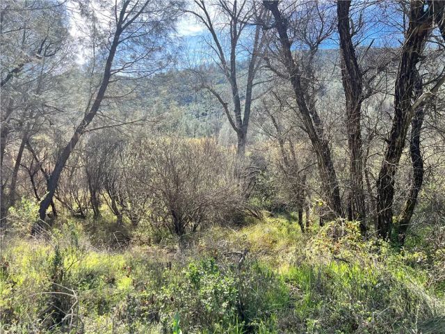 2286 New Long Valley, Clearlake Oaks, CA 95423