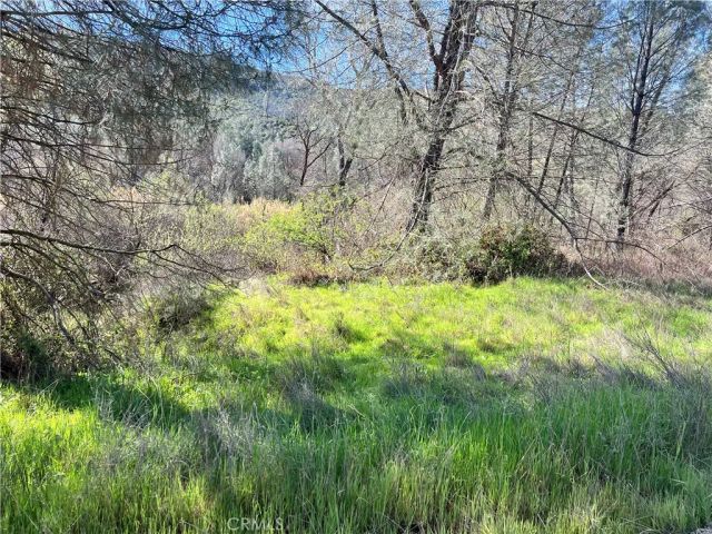 2286 New Long Valley, Clearlake Oaks, CA 95423