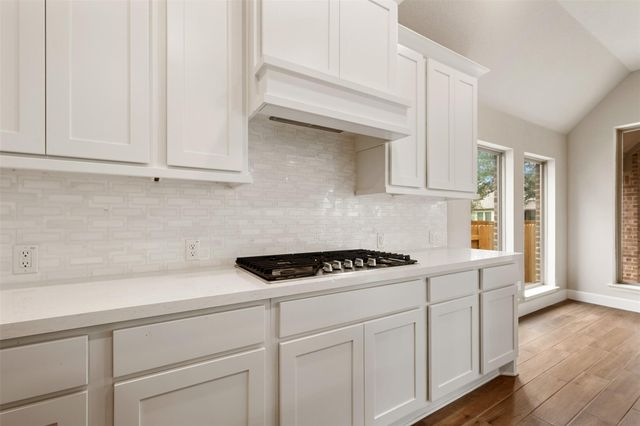 104 Anejo Bluff CT, Georgetown, TX 78628
