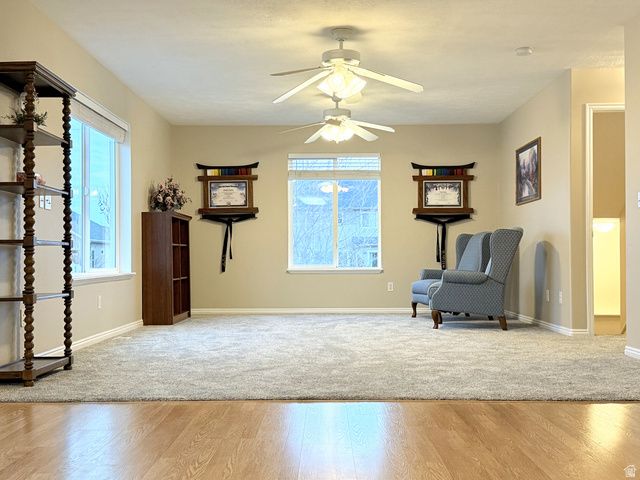 1121 W 1800 N, Mapleton, UT 84664