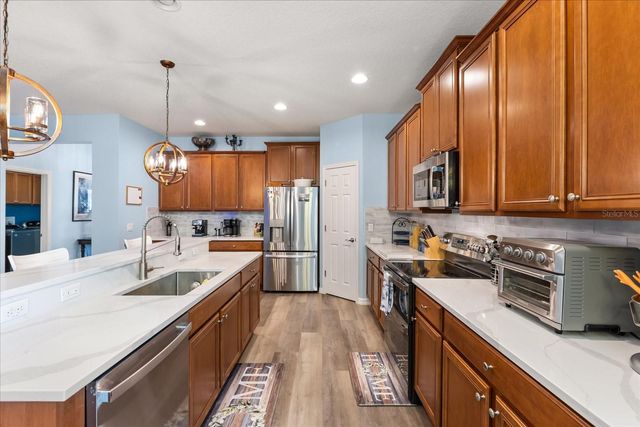 30231 HACKNEY LOOP, Mount Dora, FL 32757