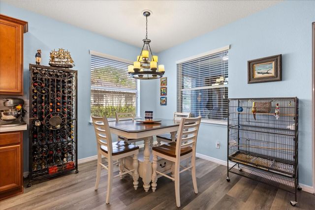 30231 HACKNEY LOOP, Mount Dora, FL 32757