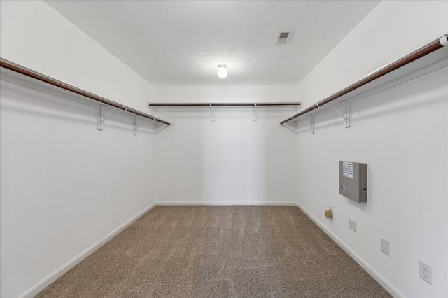 2410 Arabian Trail, Manvel, TX 77578