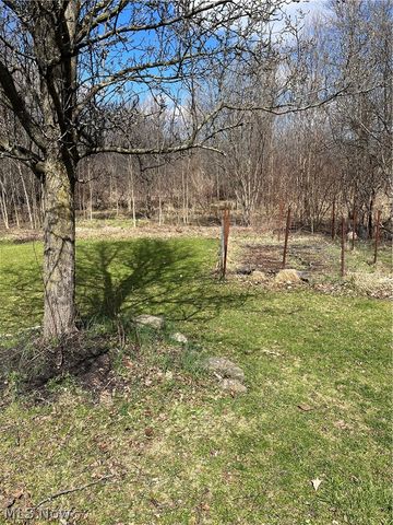 1010 Moneta Avenue, Aurora, OH 44202