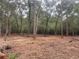 Tract B Mangum Road, Livingston, TX 77351
