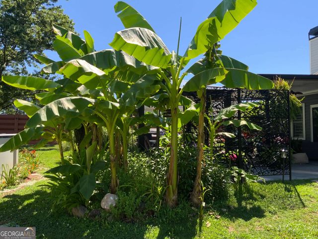 35 Candlewood Drive, Newnan, GA 30265