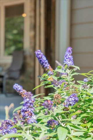 414 Watercolor Dr, Sparta, TN 38583