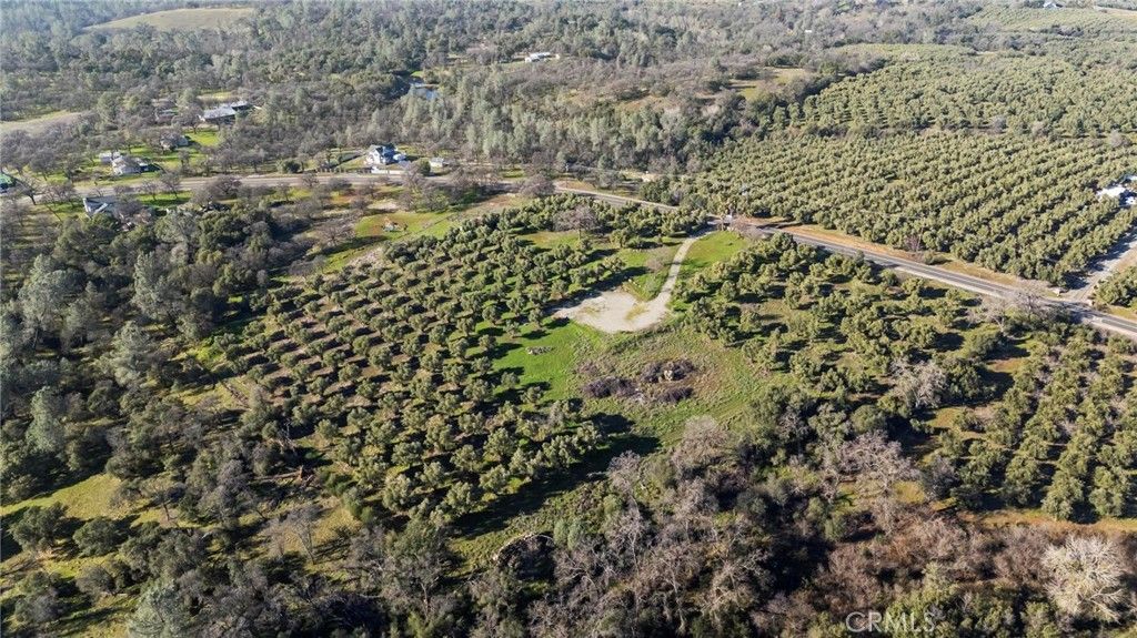 Image 10 of property listing at 7300 Lower Wyandotte Road, Oroville, CA 95966