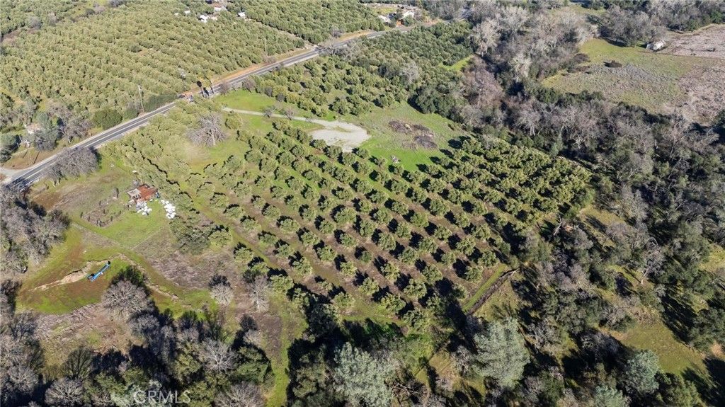 Image 12 of property listing at 7300 Lower Wyandotte Road, Oroville, CA 95966