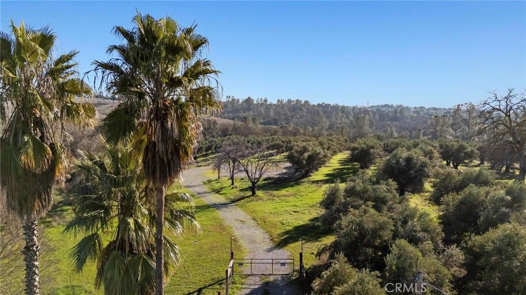 Image 4 of property listing at 7300 Lower Wyandotte Road, Oroville, CA 95966