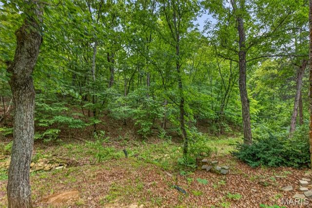1513 Charmaine Court, Bonne Terre, MO 63628