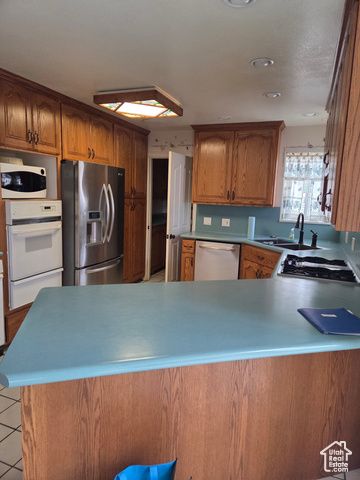 1402 SHEPHERD DR, Wellington, UT 84542