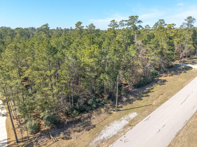 Lot 28 Brahman Lane, Huntsville, TX 77358