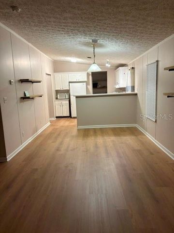13225 PLUM LAKE CIRCLE, Minneola, FL 34715
