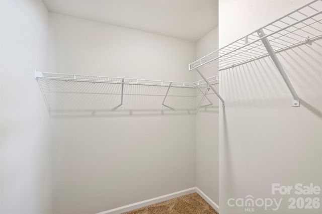 2409 Via del Conte Alley, Charlotte, NC 28205