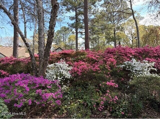 2111 Jumpin Run Drive, Wilmington, NC 28403