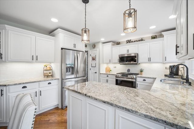 223 Shawnee Circle, Bartlett, IL 60103