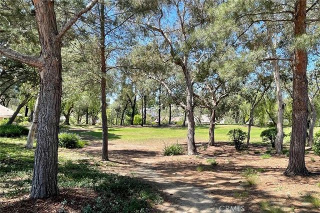 21159 Via Noriega, Yorba Linda, CA 92887