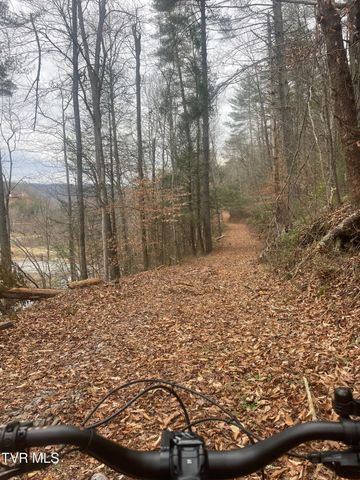 213 Petty Lane, Mooresburg, TN 37811