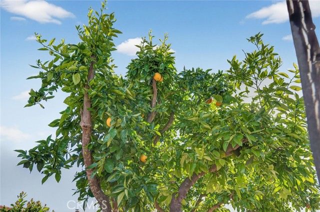 2218 Redwood Drive, Hemet, CA 92545