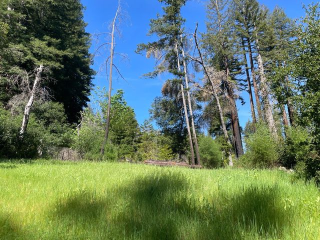 500 Wildberry Drive, Boulder Creek, CA 95006