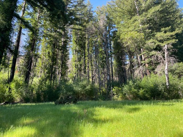 500 Wildberry Drive, Boulder Creek, CA 95006