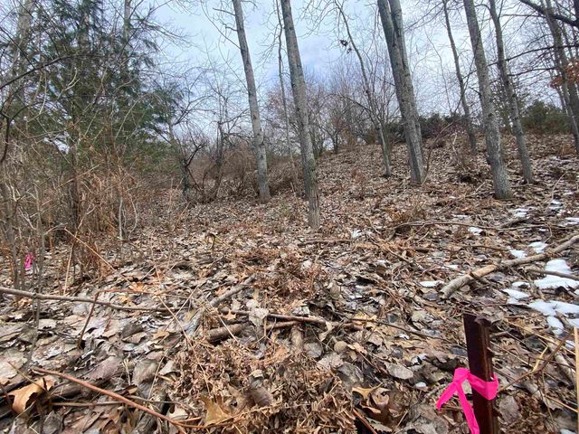 Lot 38 Kirkridge Drive, Williamsburg, MI 49690