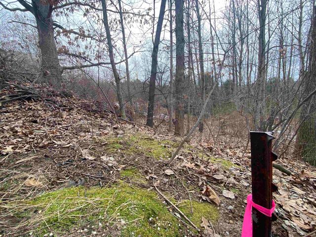 Lot 38 Kirkridge Drive, Williamsburg, MI 49690