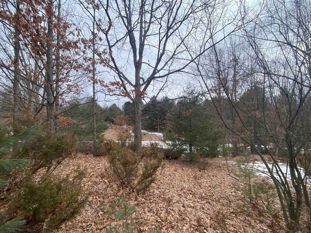 Lot 38 Kirkridge Drive, Williamsburg, MI 49690